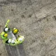 CityFibre triples business ethernet availability for its partners
